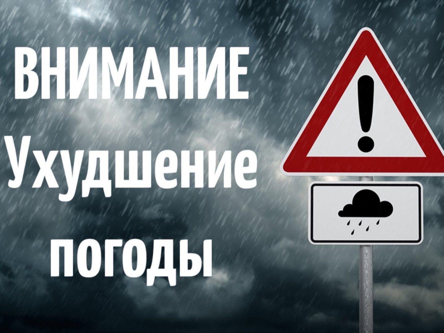По данным Брянского центра по гидрометеорологии и мониторингу окружающей среды 28 июля 2026 года на территории Брянской области днем местами ожидаются ливни, грозы, град, порывы ветра 15-17 м/с.