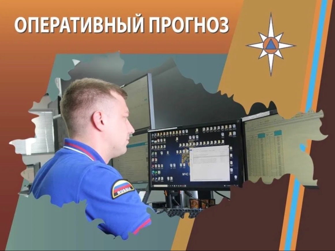 ОПЕРАТИВНЫЙ ЕЖЕДНЕВНЫЙ ПРОГНОЗ возникновения и развития чрезвычайных ситуаций на территории Брянской области на 30 июня 2026 года.