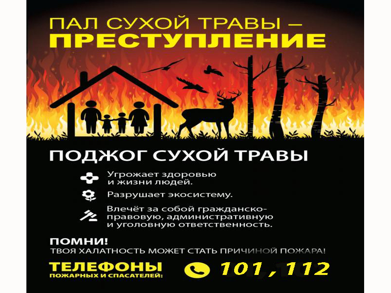 Пал сухой травы: опасность и ответственность.