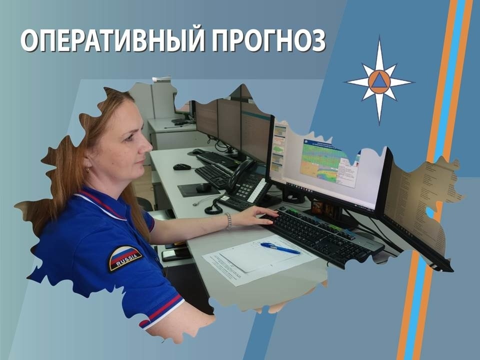 ОПЕРАТИВНЫЙ ЕЖЕДНЕВНЫЙ ПРОГНОЗ  возникновения и развития чрезвычайных ситуаций на территории  Брянской области на 14 июля 2026 года.
