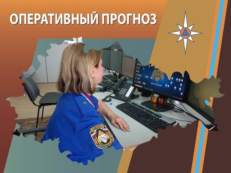 ОПЕРАТИВНЫЙ ЕЖЕДНЕВНЫЙ ПРОГНОЗ  возникновения и развития чрезвычайных ситуаций на территории  Брянской области на 18 июля 2026 года.