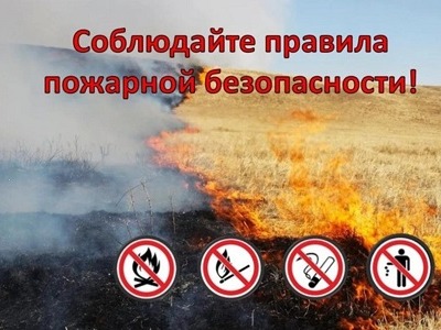 О запрете выжигания стерни после уборки сельскохозяйственных культур.