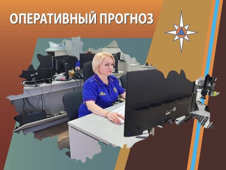 ОПЕРАТИВНЫЙ ЕЖЕДНЕВНЫЙ ПРОГНОЗ возникновения и развития чрезвычайных ситуаций на территории Брянской области на 04 июля 2026 года.
